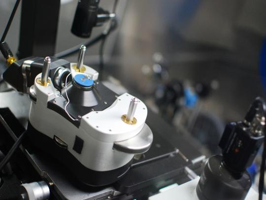 lab