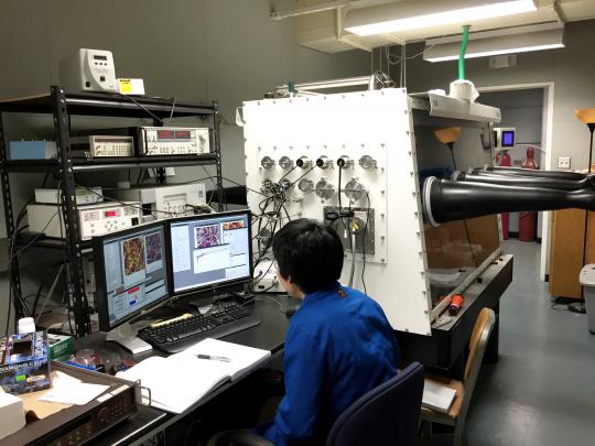 lab