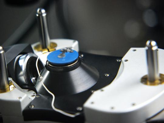 lab