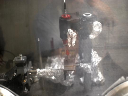 lab