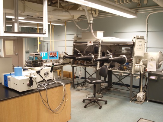 lab