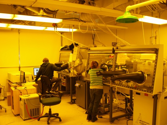 lab