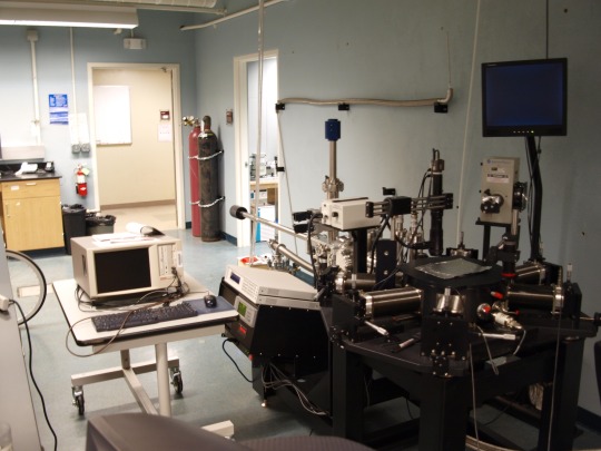 lab